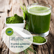 Auf einem Holztisch stehen ein Glas mit grünem Saft, eine Schale mit einem Löffel, der Gerstengras Pulver (Bio) FR von gse.organic.supplements enthält, und frisches Gras. Der französische Text gibt Dosierungsanweisungen und die Pulvermenge an.