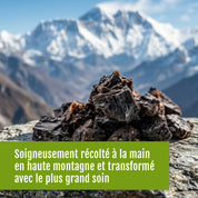 Ein Haufen tiefschwarzes Shilajit – „Une tradition naturelle issue de l’Himalaya“ von gse.organic.supplements – ruht auf einem Stein vor dem sanft verschwommenen Hintergrund schneebedeckter Himalaya-Gipfel. Der darüberliegende französische Text hebt die sorgfältige Handernte und die natürlichen Verarbeitungsmethoden hervor.