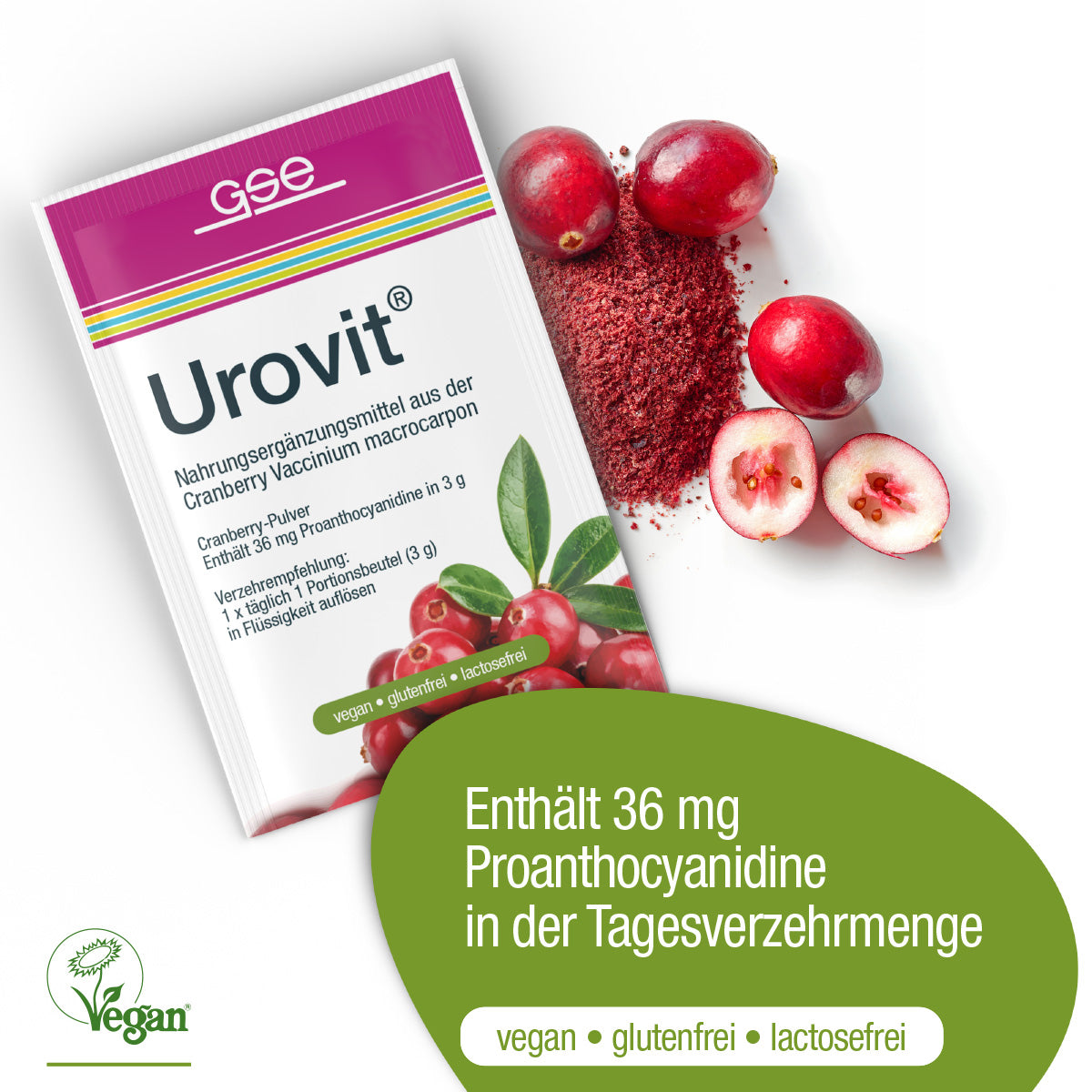 Urovit®-Cranberry Pulver von gse.organic.supplements ist mit Cranberries und Pulver dargestellt. Das Etikett hebt "36 mg Proanthocyanidin pro Tagesdosis" hervor und weist darauf hin, dass es vegan, glutenfrei und laktosefrei ist.